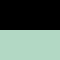 Black/Floral Mint