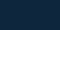 Navy/White